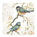 Boston International Cocktail Napkin, Happy Little Titmice | Boston International