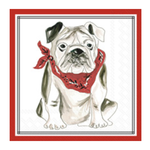 Boston International CKTL/RED BULLDOG HOMETOWN PRIDE