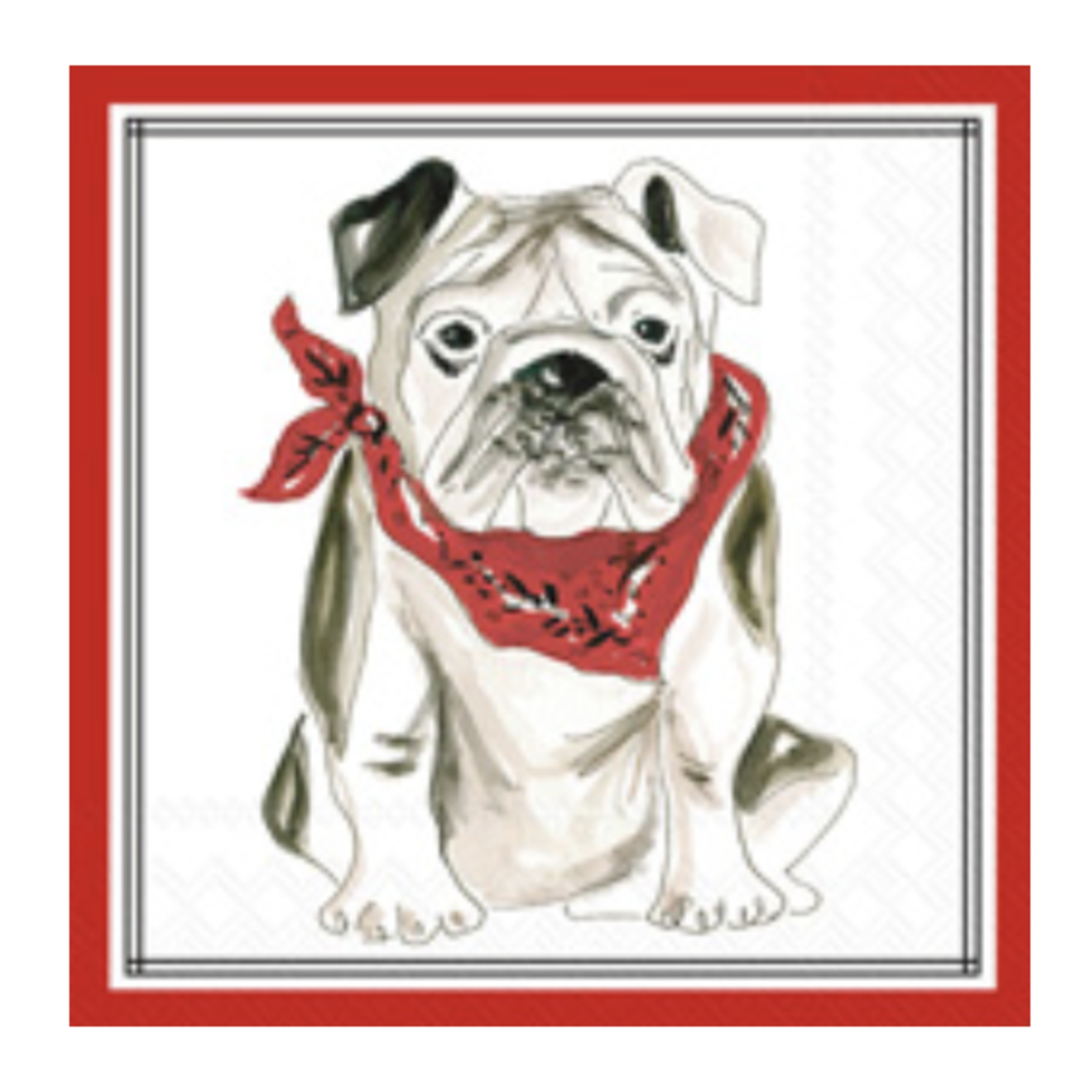 Boston International CKTL/RED BULLDOG HOMETOWN PRIDE