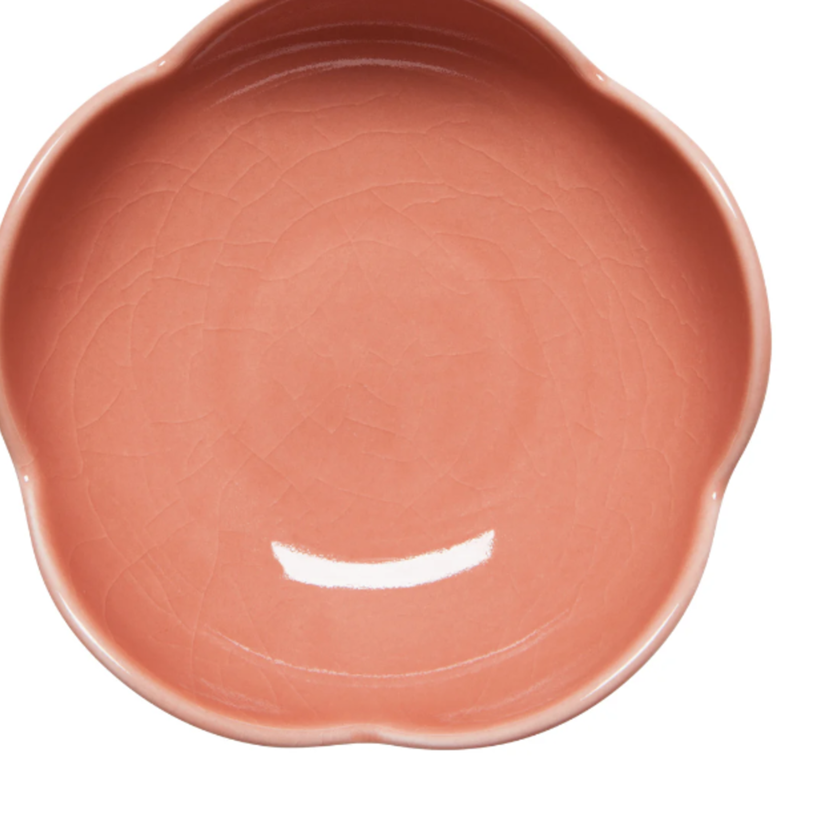 Danica Brands Dish Opus - Sienna | Danica Brands