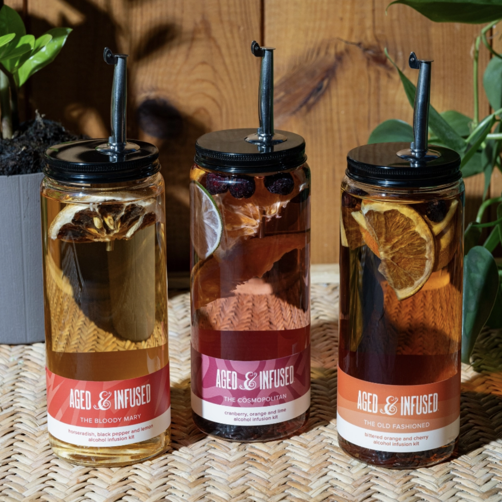 Aged & Infused The Cocktail Collection Bundle | Aged & Infused