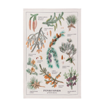 Danica Brands Dishtowel - Pinecones