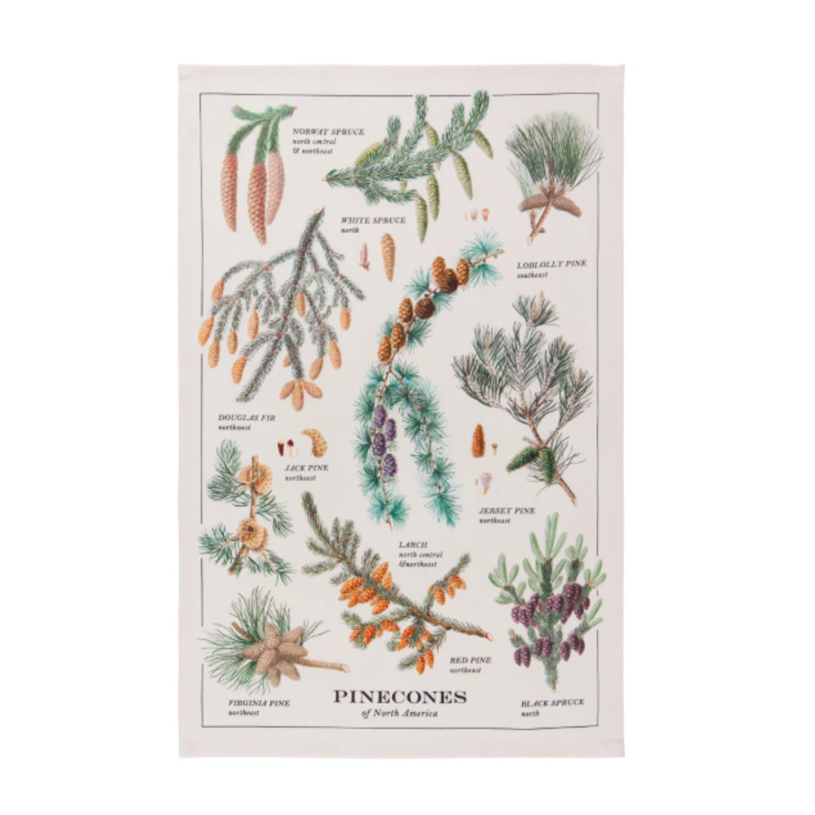 Danica Brands Dishtowel - Pinecones