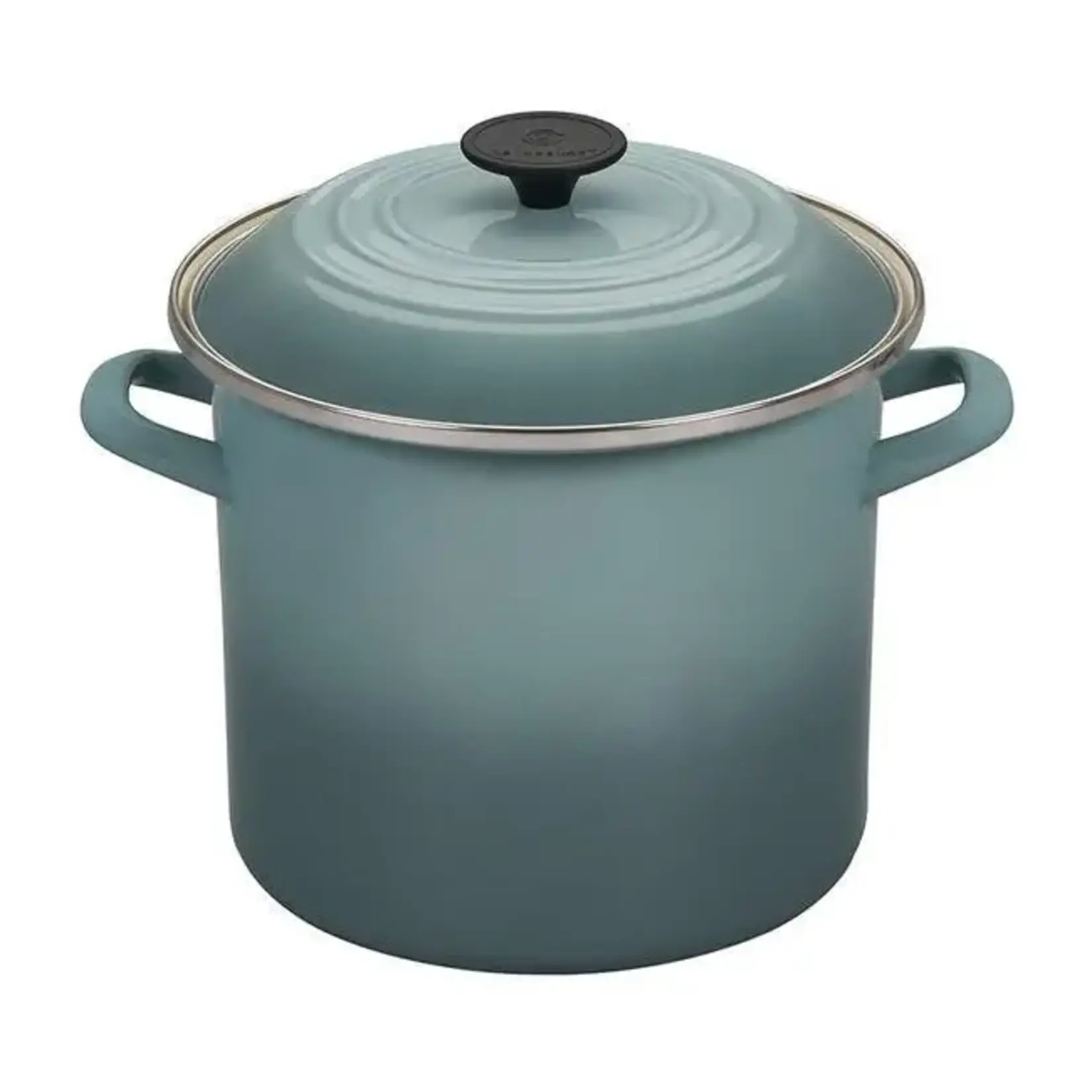 Le Creuset Le Creuset Enamel On Steel Stockpot with Lid, 8 Quar, Sea Salt