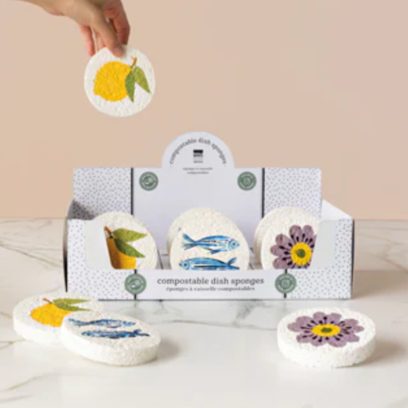 Danica Brands Sponge - Market Day single | Danica Brands