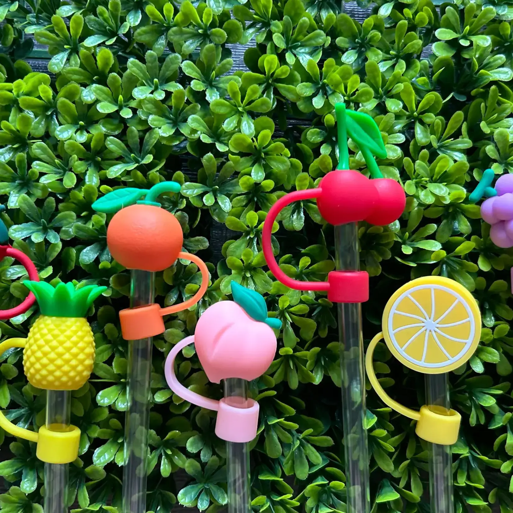 Fruit Straw Toppers Set of 7 | Jillian Ink