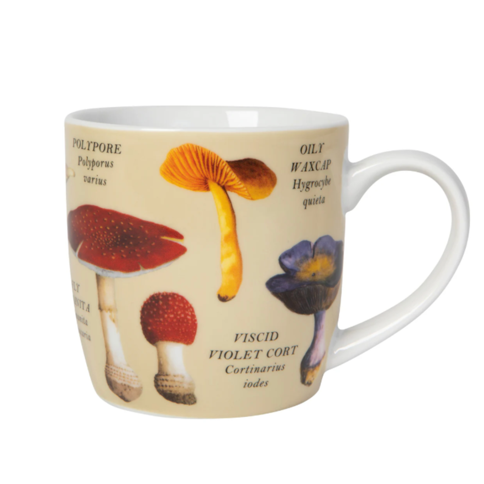 Danica Brands Mug 12oz - Mushrooms | Danica Brands
