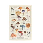Danica Brands Dishtowel - Mushrooms Fine Print | Danica Brands