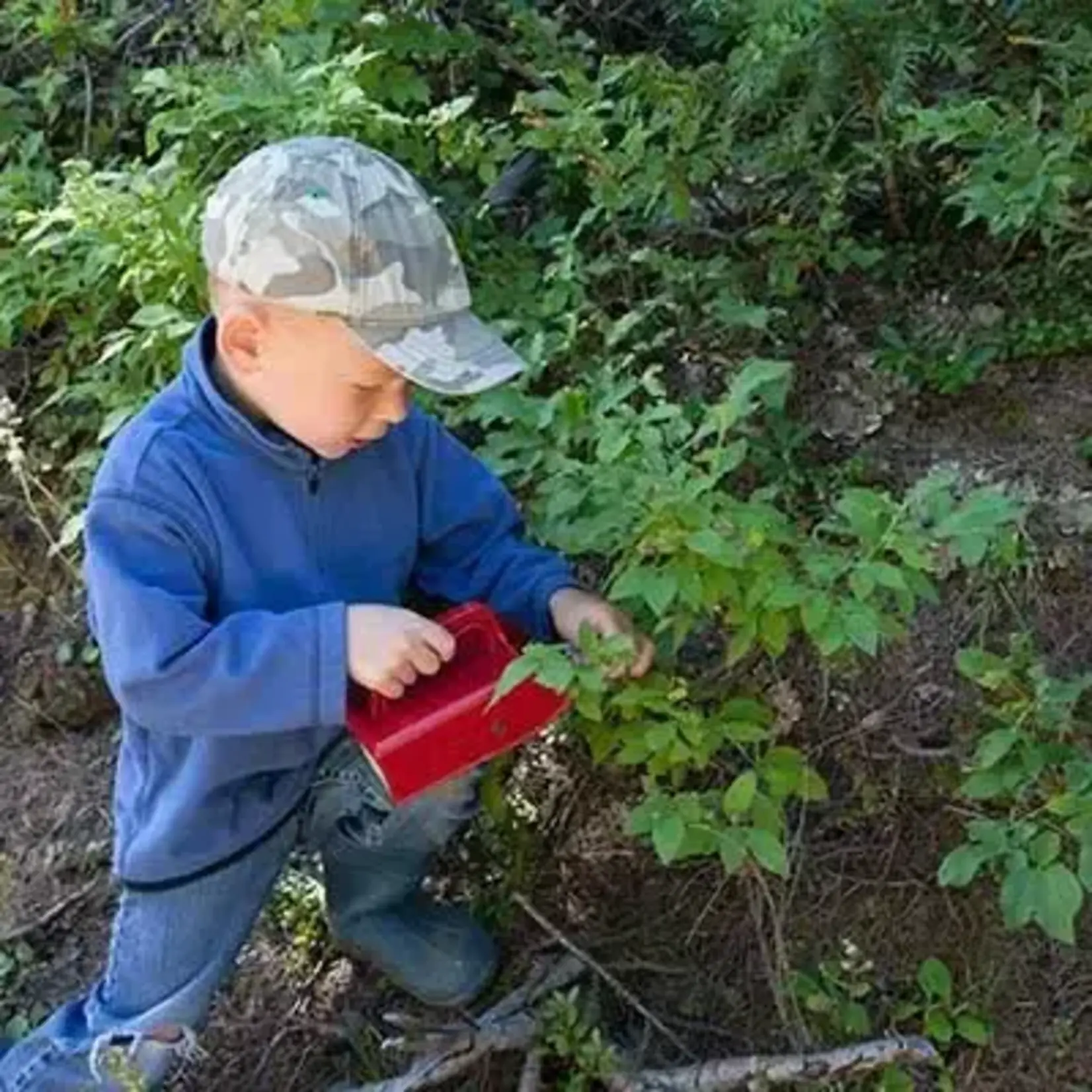 Kids Berry Picker | Linden