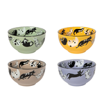 Danica Brands Meow & Furever Bowls Set of 4 Assorted | Danica Brands