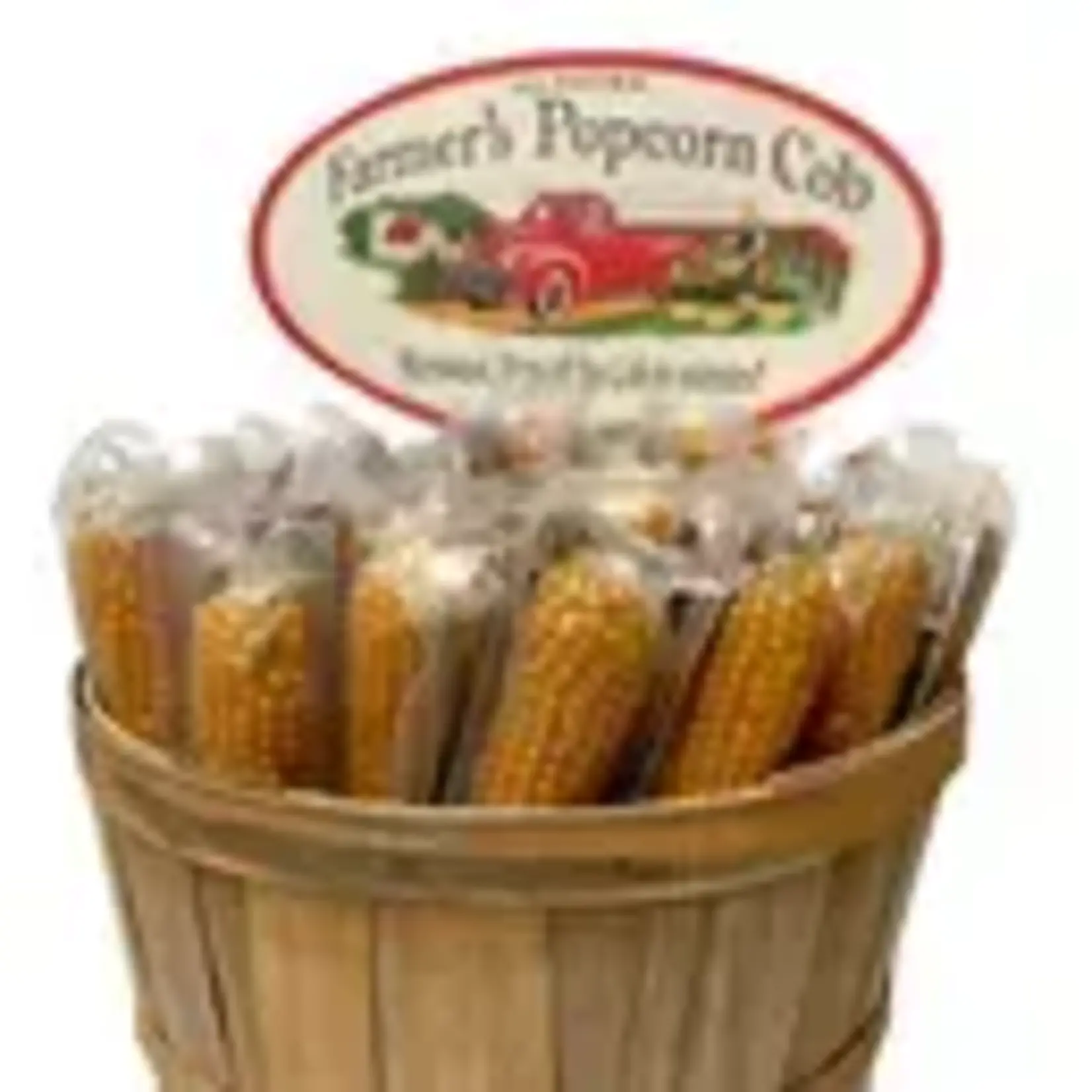 Farmers Popcorn Cob Blue