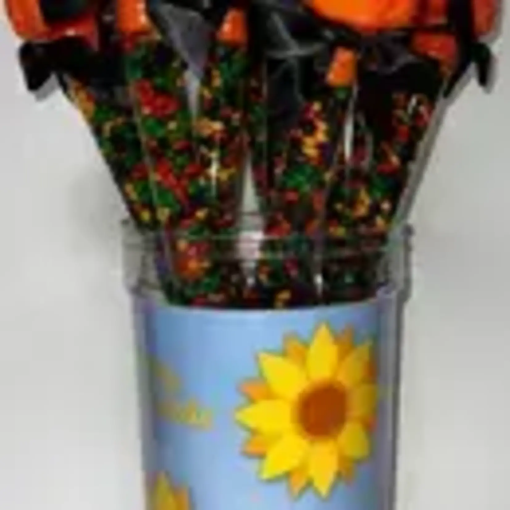 Jack-O-Lantern Sunny Seeds | Sunflower Food Company