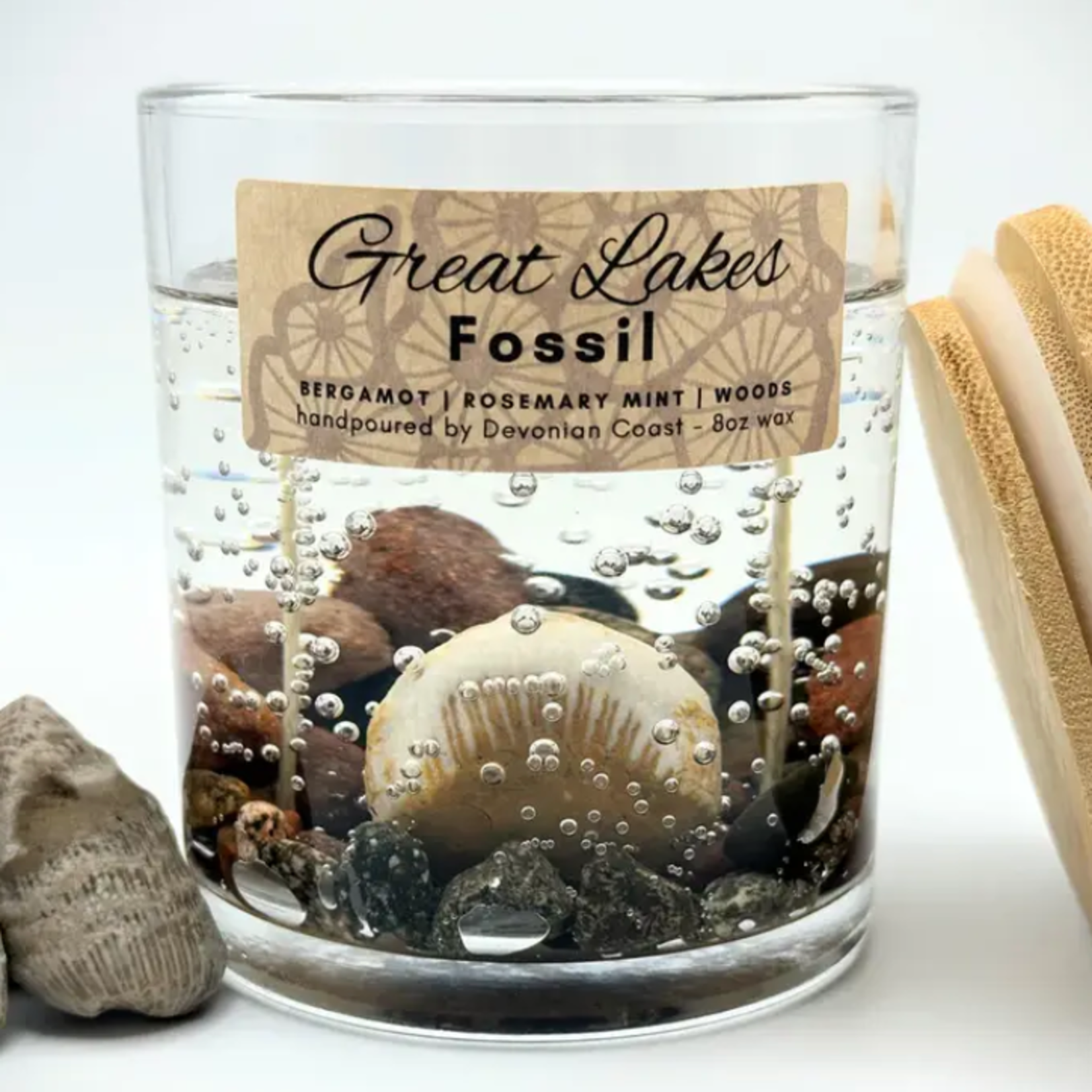 Devonian Coast Great Lakes Fossil Gel Candle – Large 8oz Wax