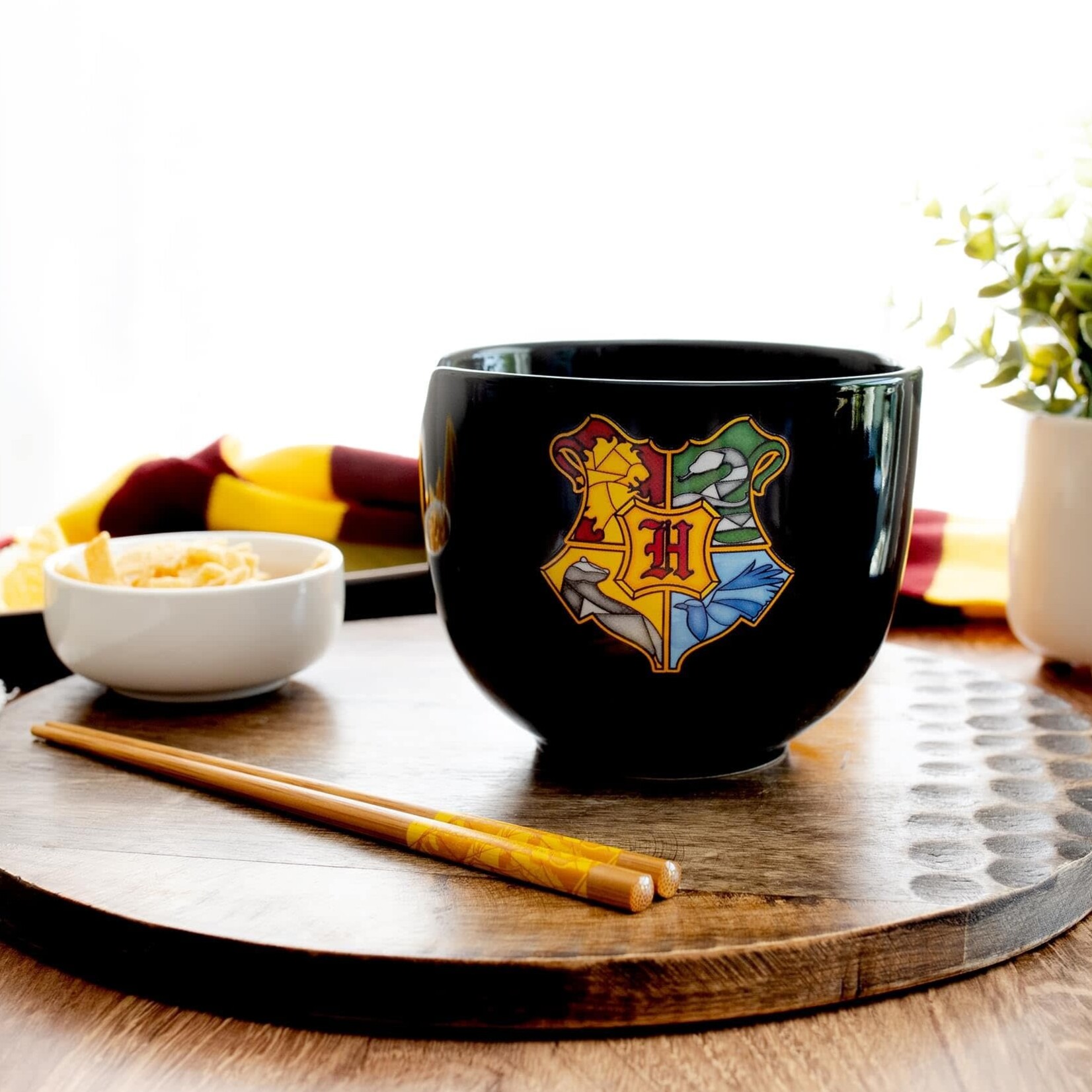Harry Potter Hogwarts Crest Ramen Bowl w/ Chopsticks