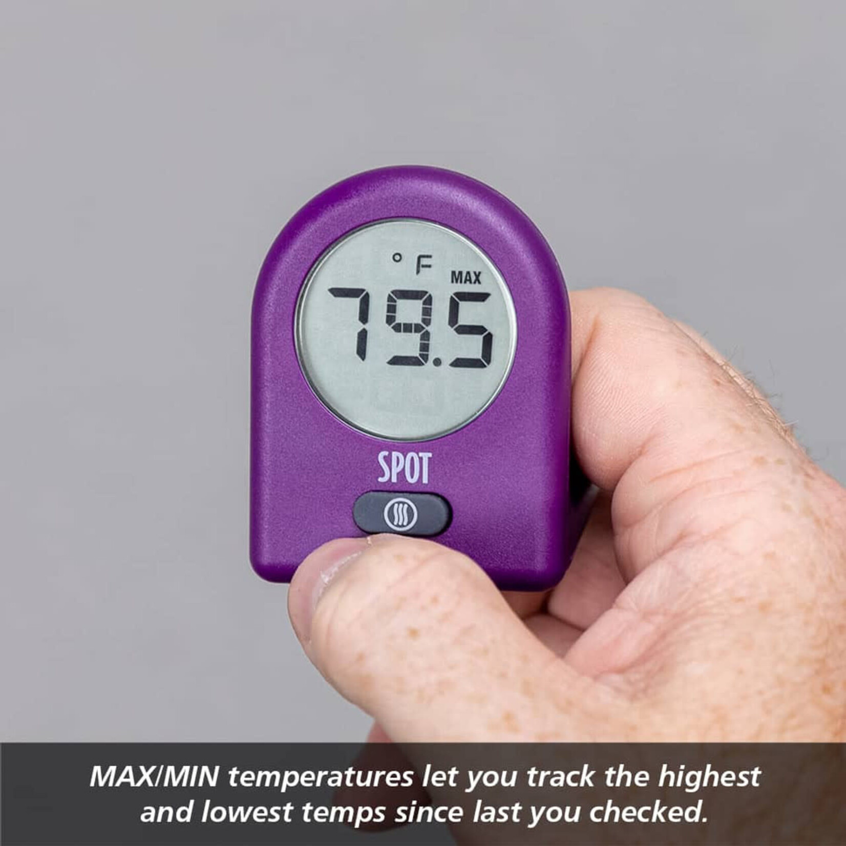 SPOT - Fridge & Everywhere Thermometer, Purple