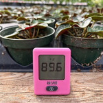 RH SPOT - The Temperature & Humidity Everywhere Thermometer, Pink