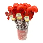 Candy Cane Sunny Seed, 5oz.