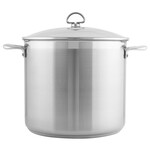 Induction 21 Steel Stockpot with Lid (12 Qt.) | Chantal