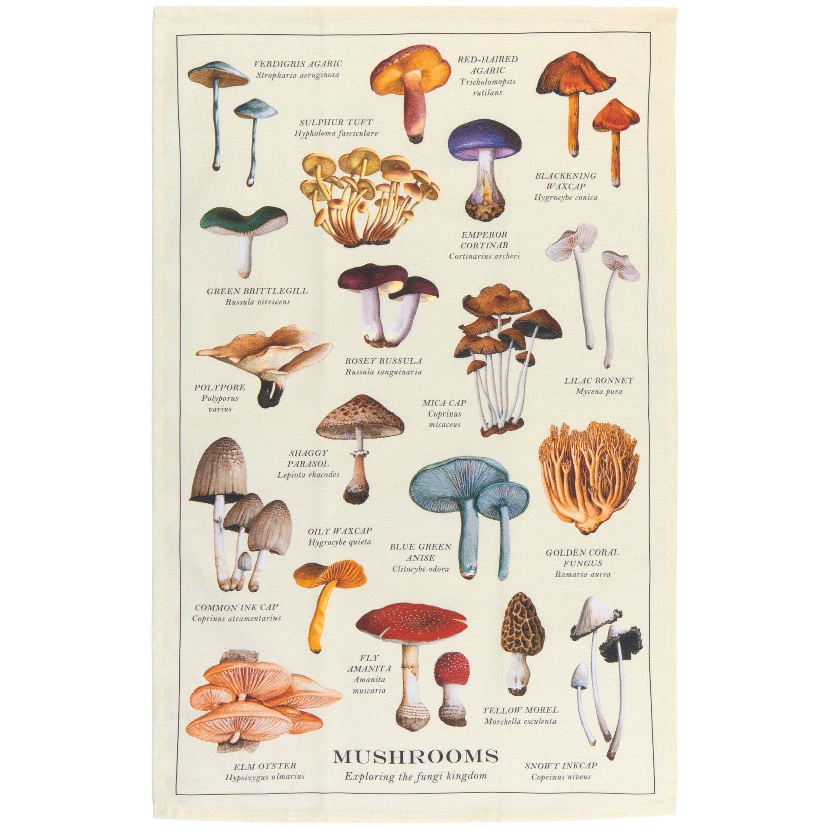 Danica Brands Dishtowel - Mushrooms Fine Print | Danica Brands
