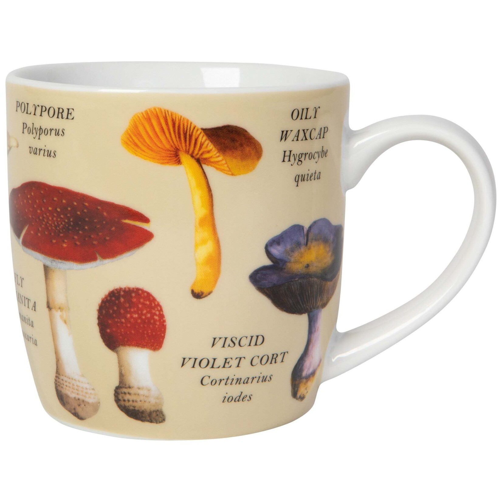 Danica Brands Mug - 12oz Mushrooms | Danica Brands