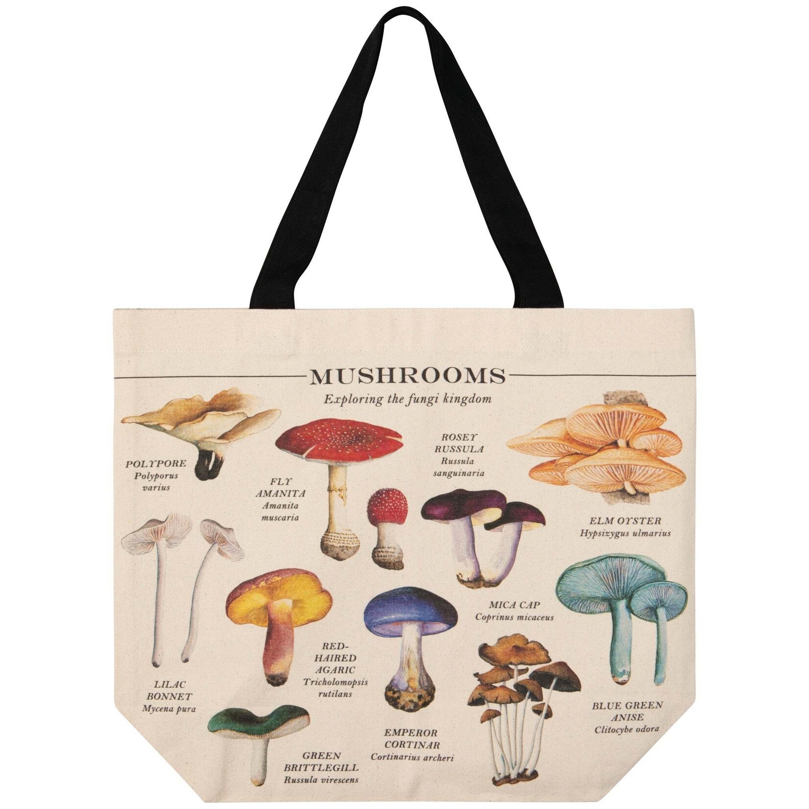 Danica Brands Tote Bag - Mushrooms | Danica Brands