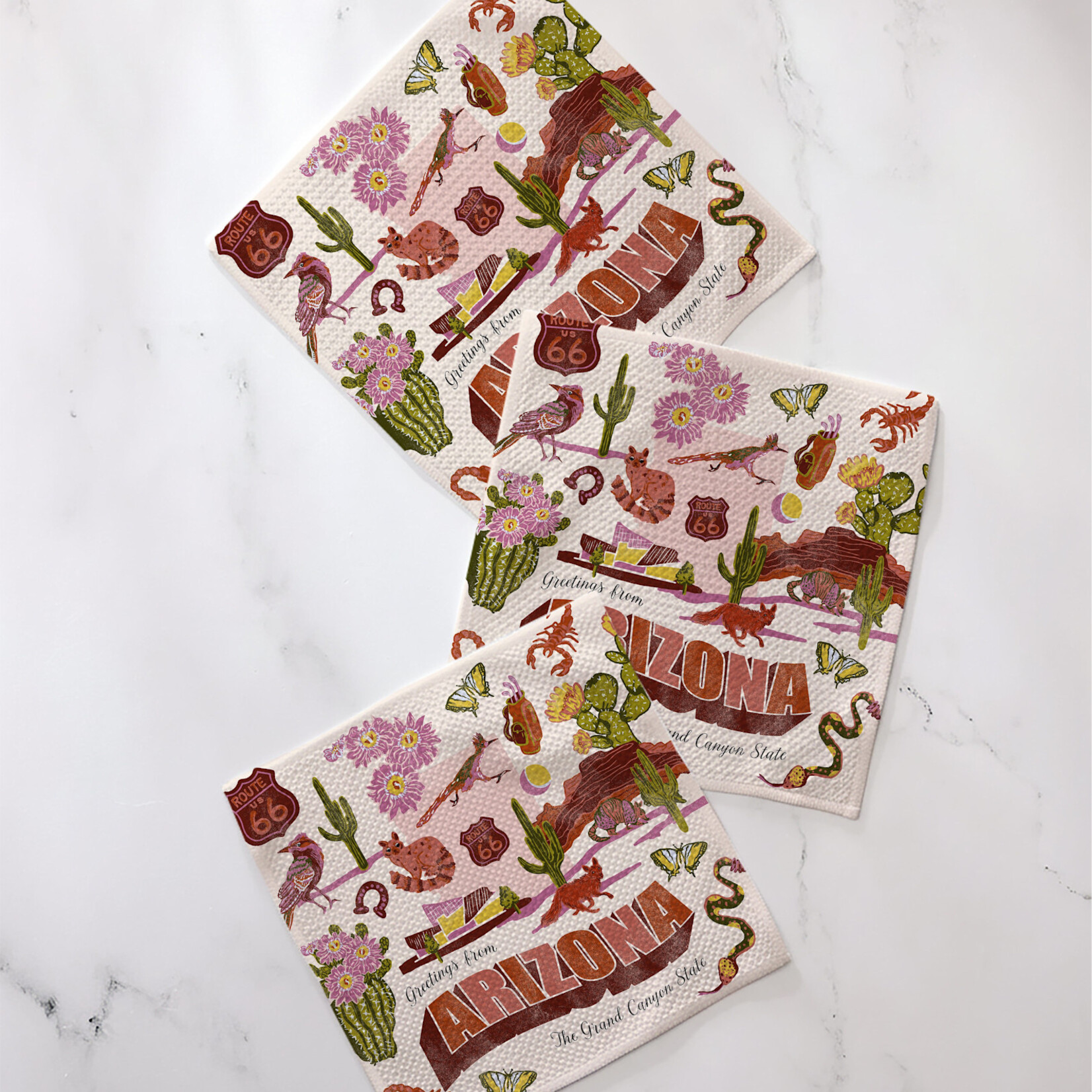 Geometry Greetings From Arizona Dishcloth Set | Geometry