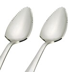 Harold Import Co. Grapefruit Serrated Edge Grapefruit Spoon, Set of 2 | Harold Import Co.