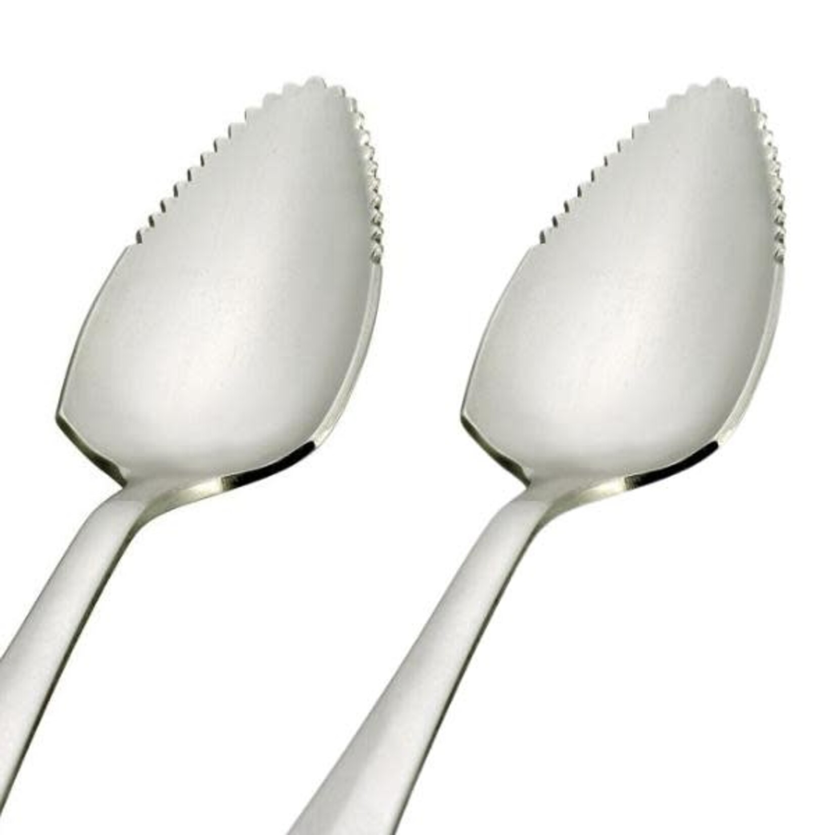 Harold Import Co. Grapefruit Serrated Edge Grapefruit Spoon, Set of 2 | Harold Import Co.