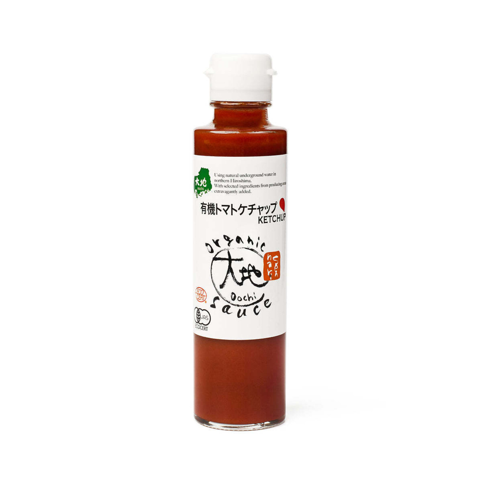 Organic Japanese Umami Ketchup (5 fl oz) | Umami Insider