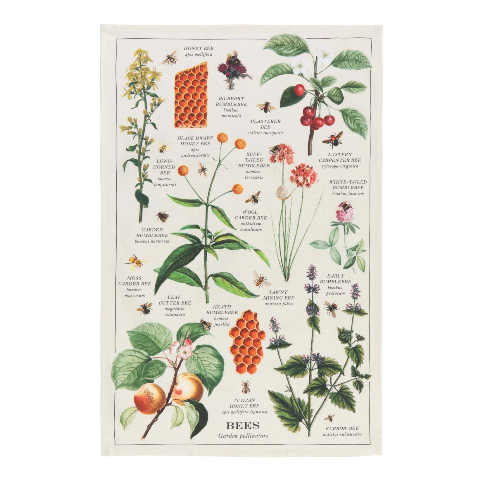 Danica Brands Tea Towel - Fine Prnt Bee Varieties | Danica Brands