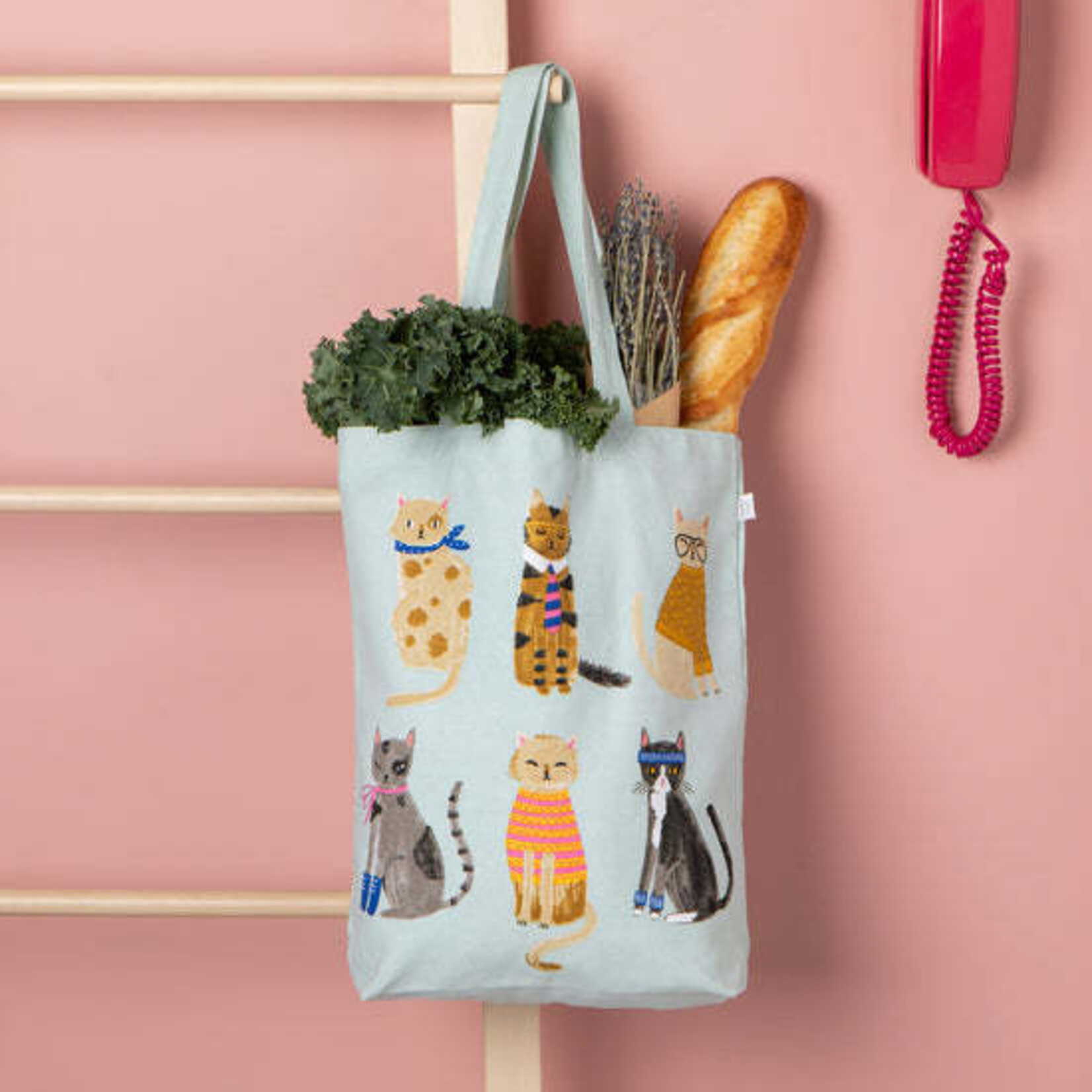 Danica Brands Bag - Tote Everyday Feline Fine | Danica Brands