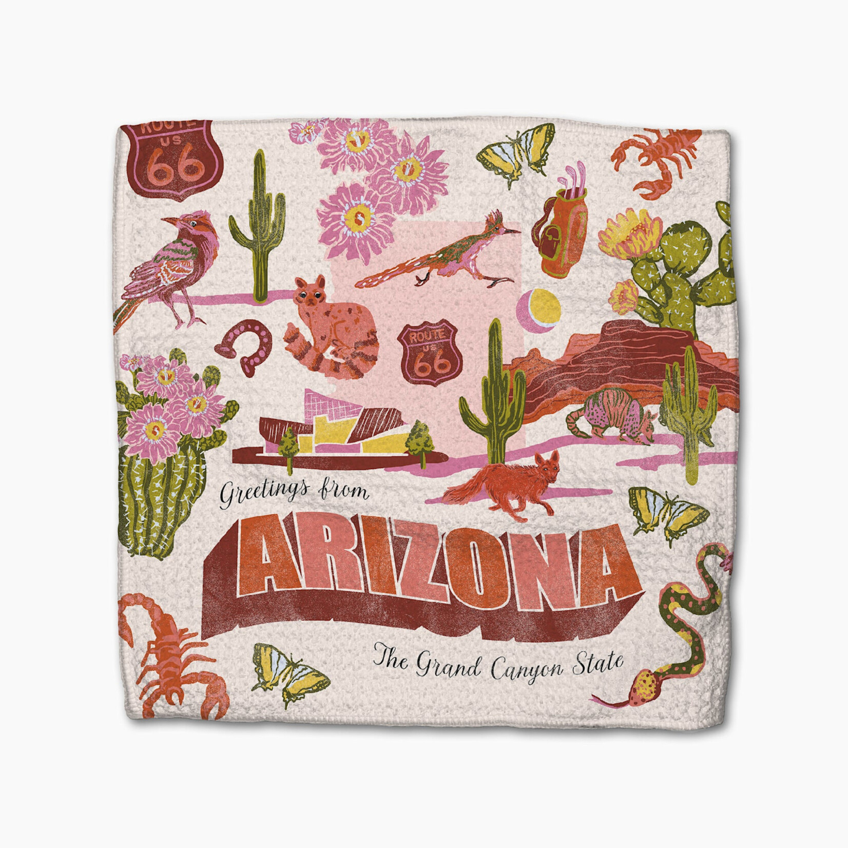 Geometry Greetings From Arizona Dishcloth Set | Geometry