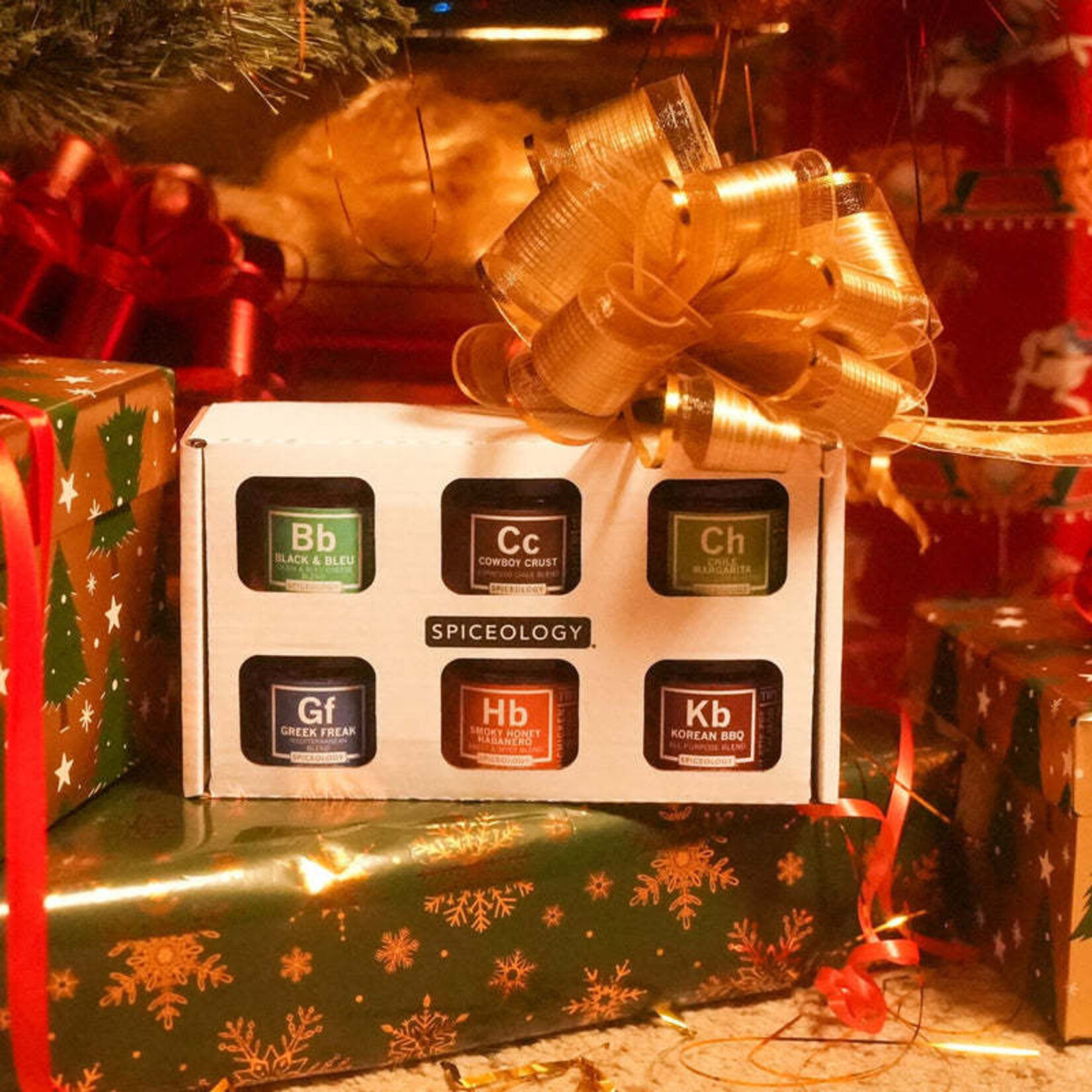 Spiceology Mini Rub Set | 6 Mini Rub Jars