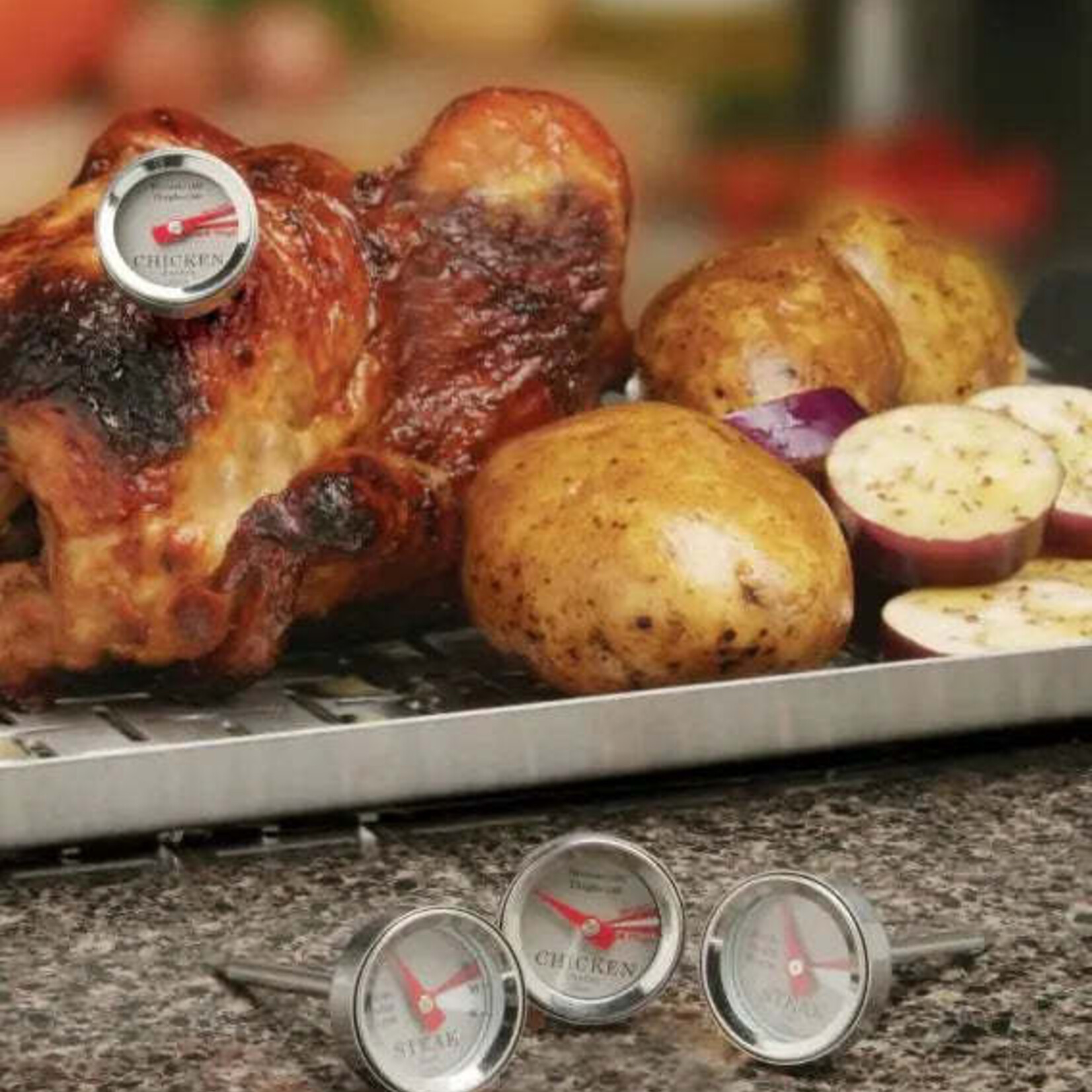 Mini Steak & Chicken Thermometer Set, 4 Piece | Kitchen Supply