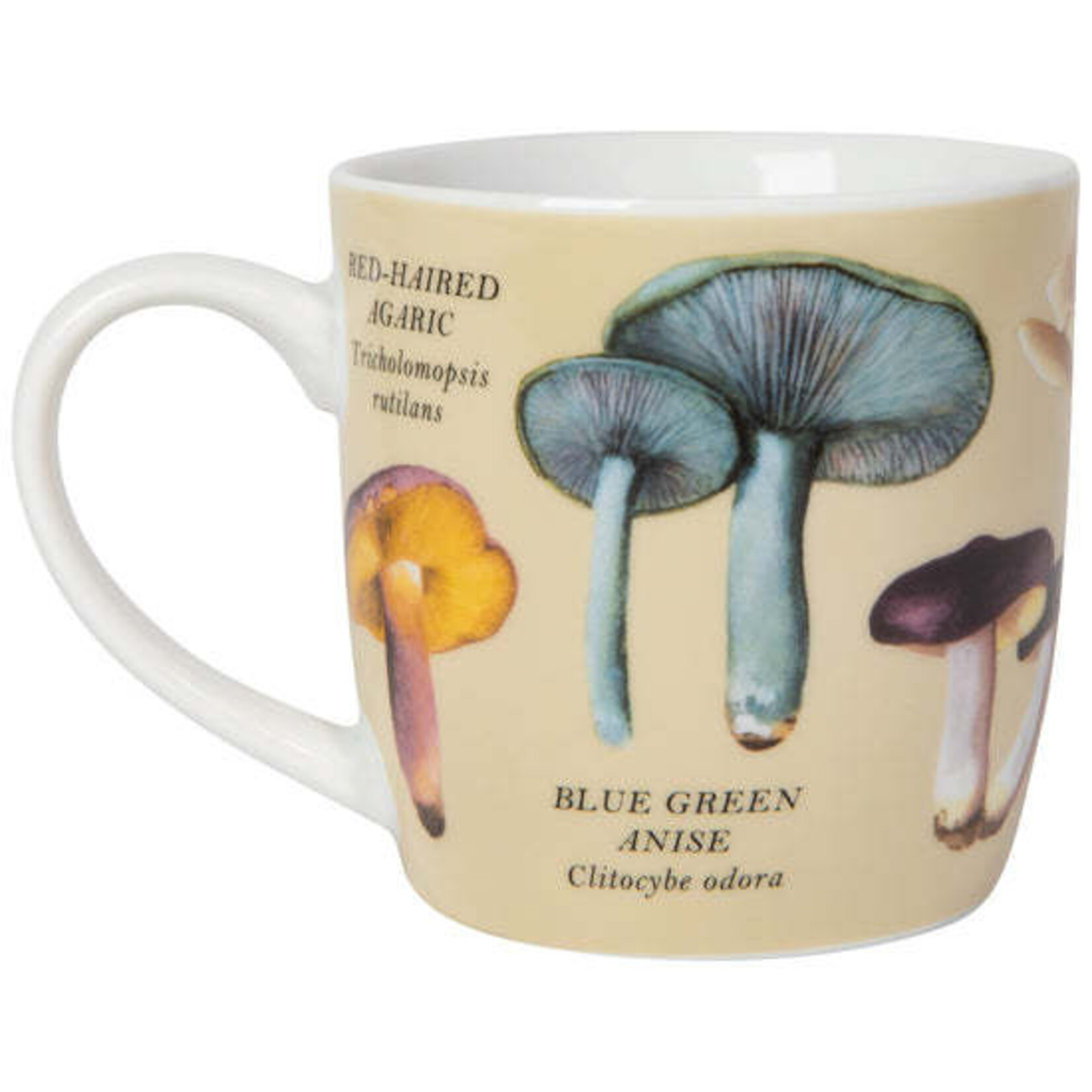 Danica Brands Mug - 12oz Mushrooms | Danica Brands