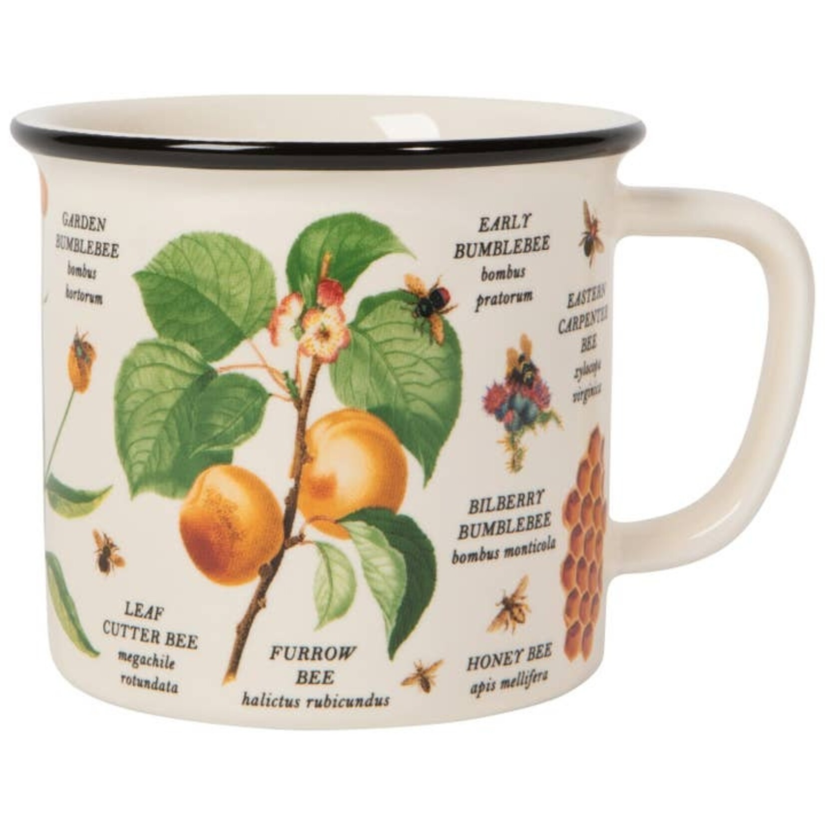 Danica Brands Mug - Heritage Bee Varieties | Danica Brands