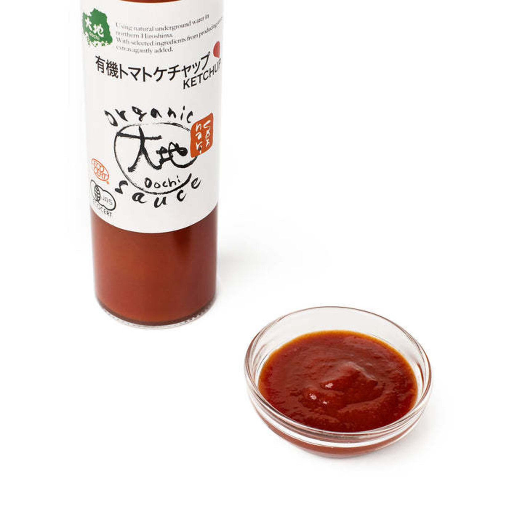 Organic Japanese Umami Ketchup (5 fl oz) | Umami Insider
