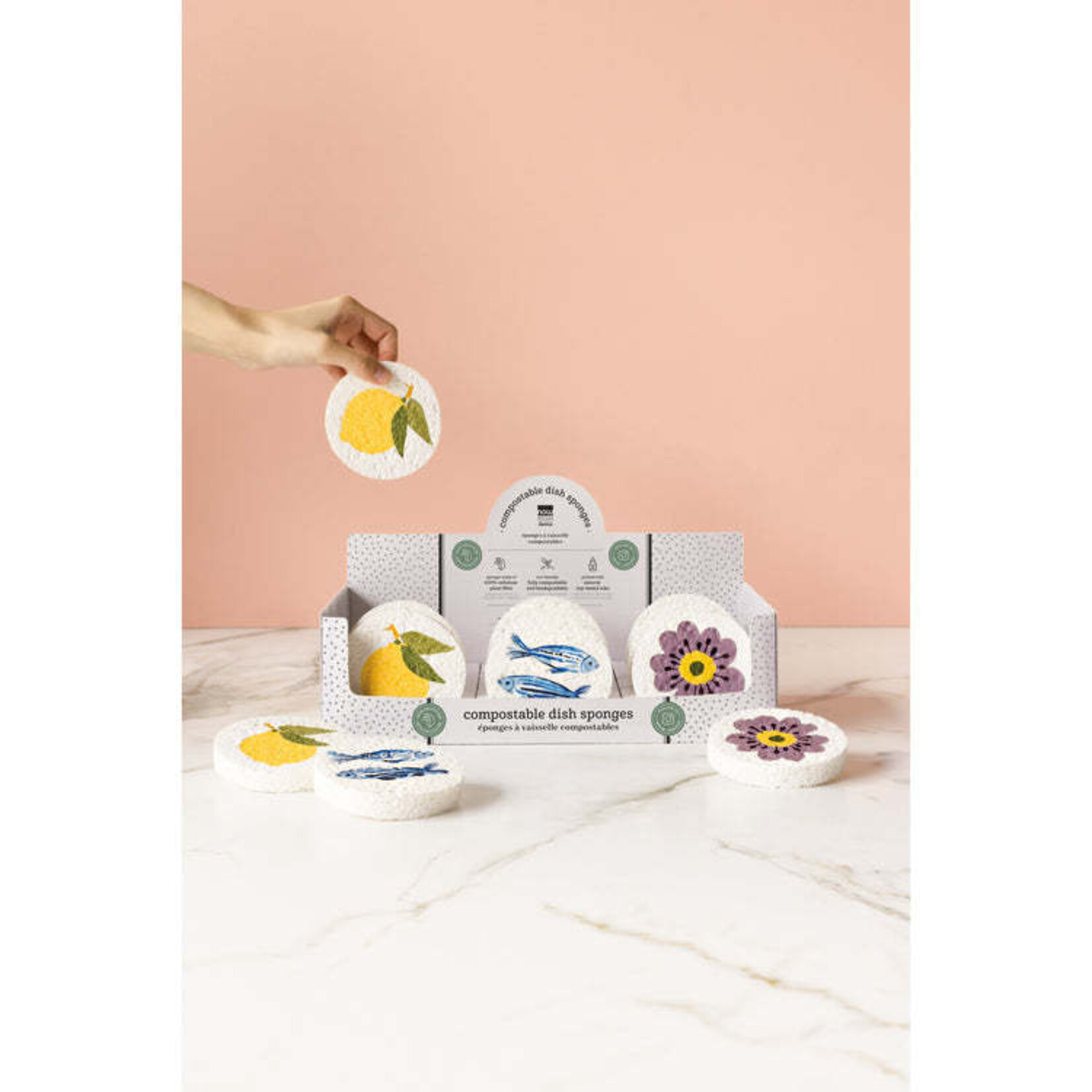 Danica Brands Market Day Sponge Counter Display | Danica Brands