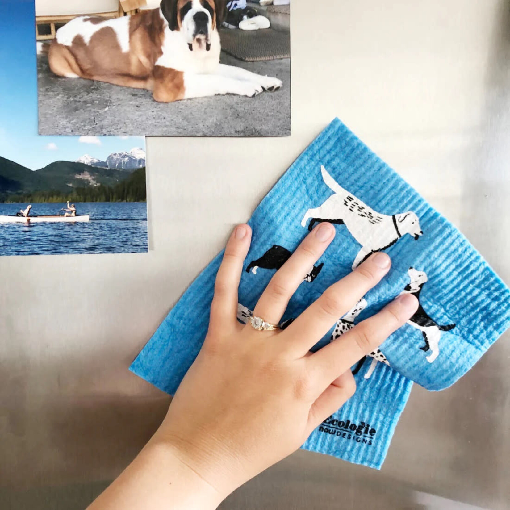 Danica Brands Swedish Dishcloth - Dog Days | Danica Brands