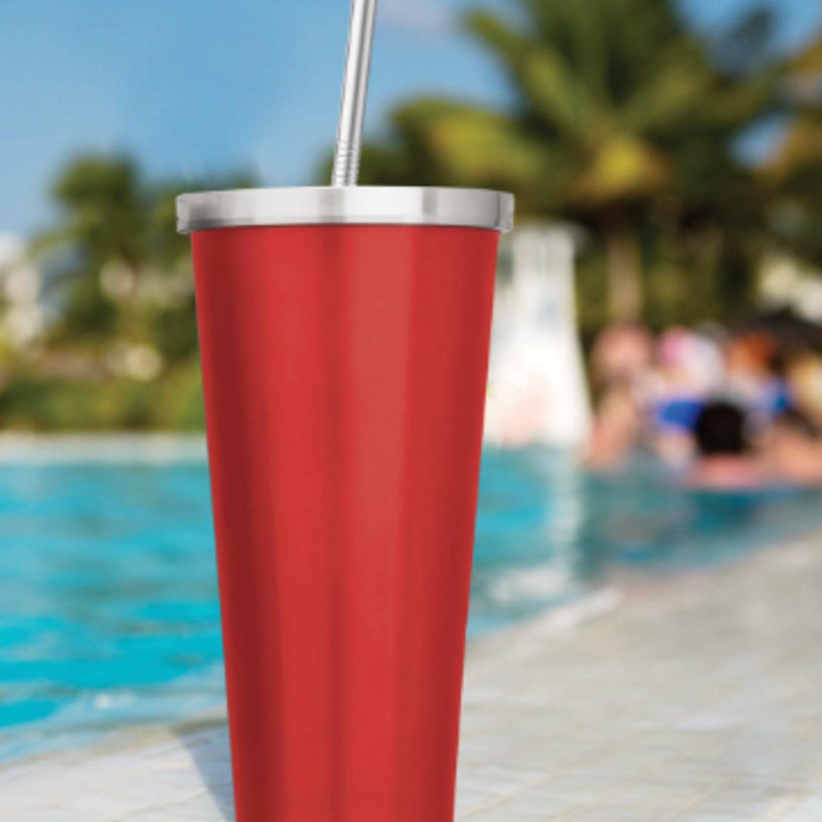 Harold Import Co. Reusable Drinking Straws, Set of 4 | Harold Import Co.