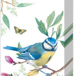 Boston International Pocket Tissue, Spring Story