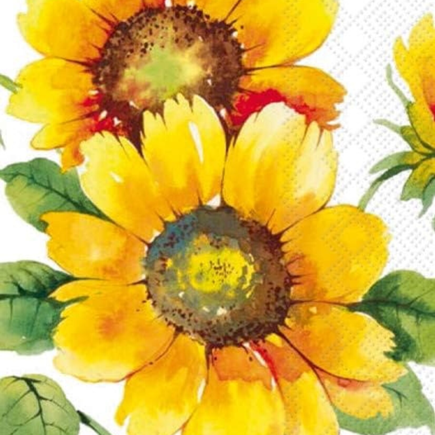 Boston International Guest Towel, Colourful Sunflowers