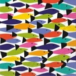 Boston International Cocktail Napkin, Rainbow Oars