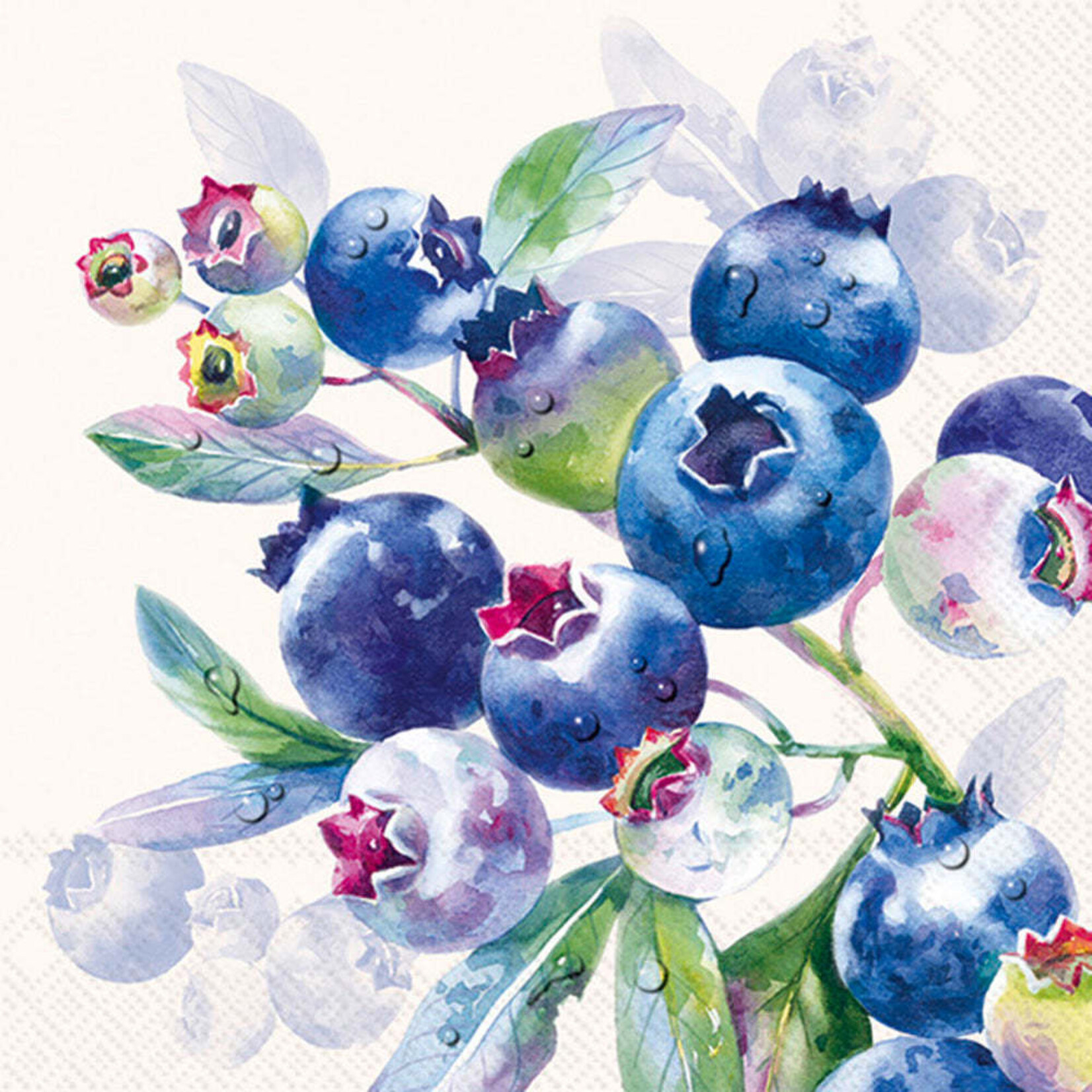 Boston International Lunch Napkin, Blueberry Fruits - Cream