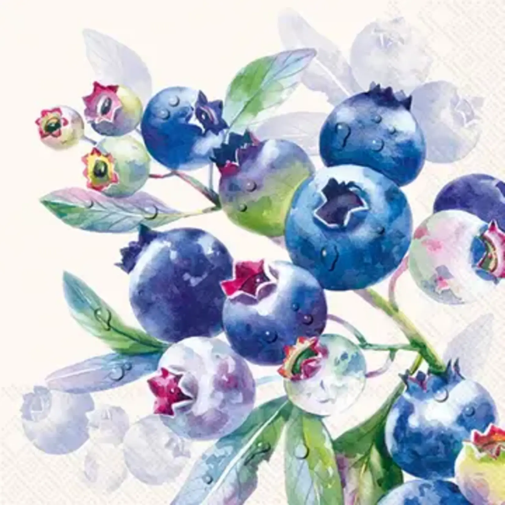 Boston International Lunch Napkin, Blueberry Fruits - Cream