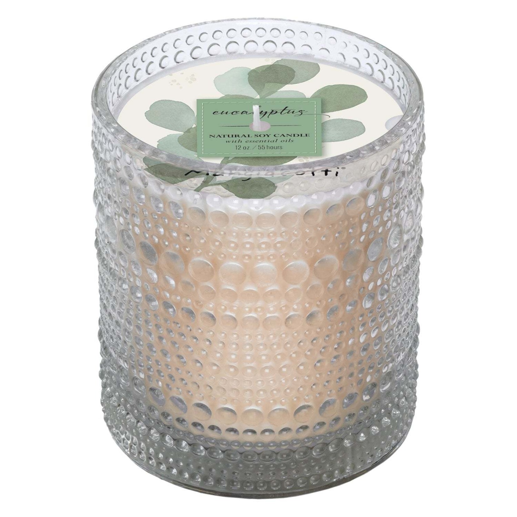 Boston International Eucalyptus Soy Candle - 12 Oz