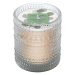 Boston International Eucalyptus Candle - 7 Oz