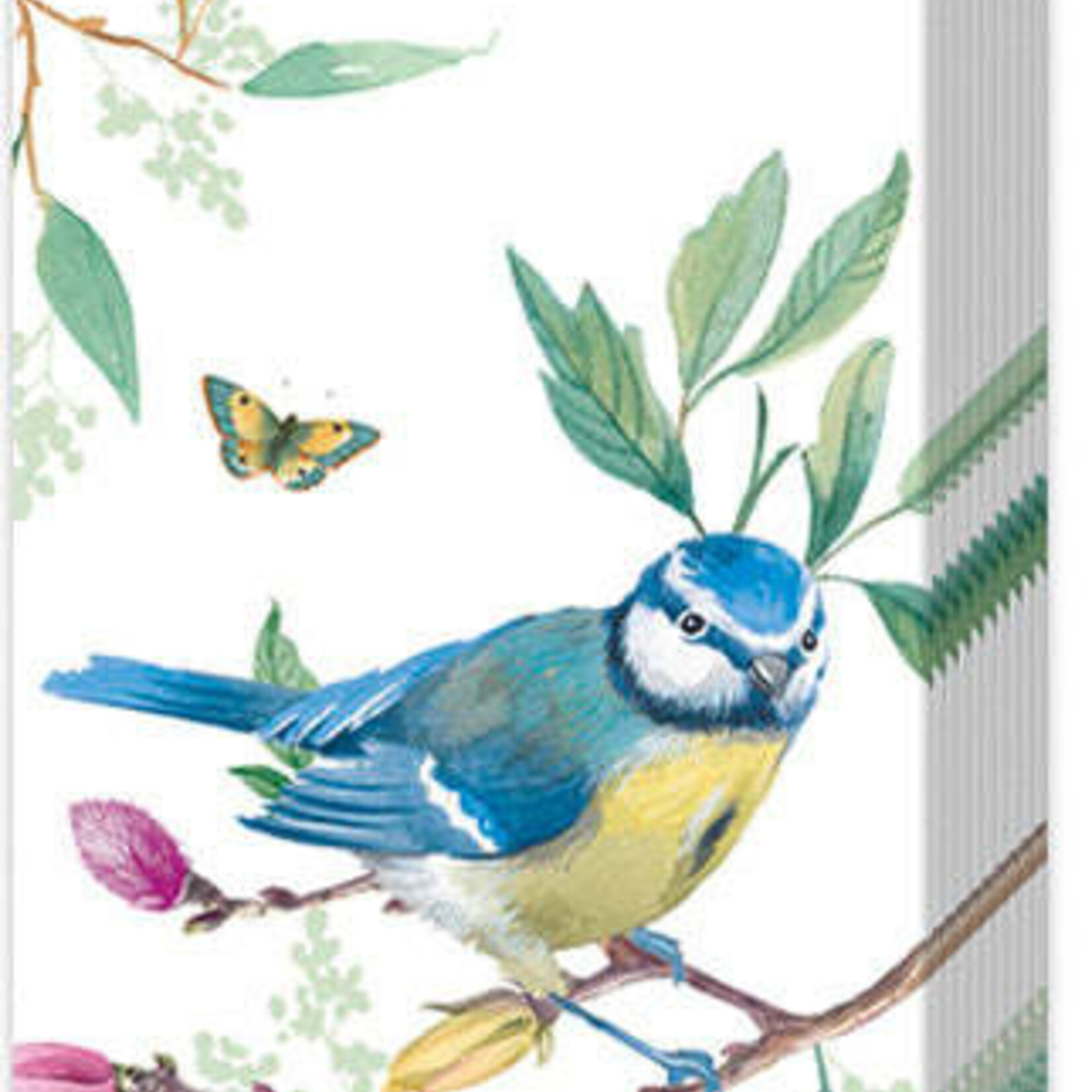 Boston International Pocket Tissue, Spring Story