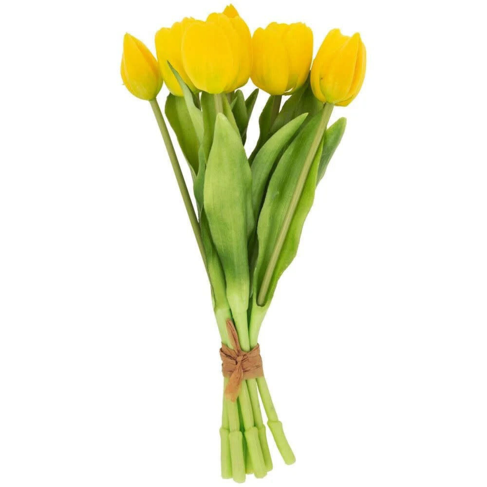Boston International Fresh Picked Yellow Tulip Bundle S, 8