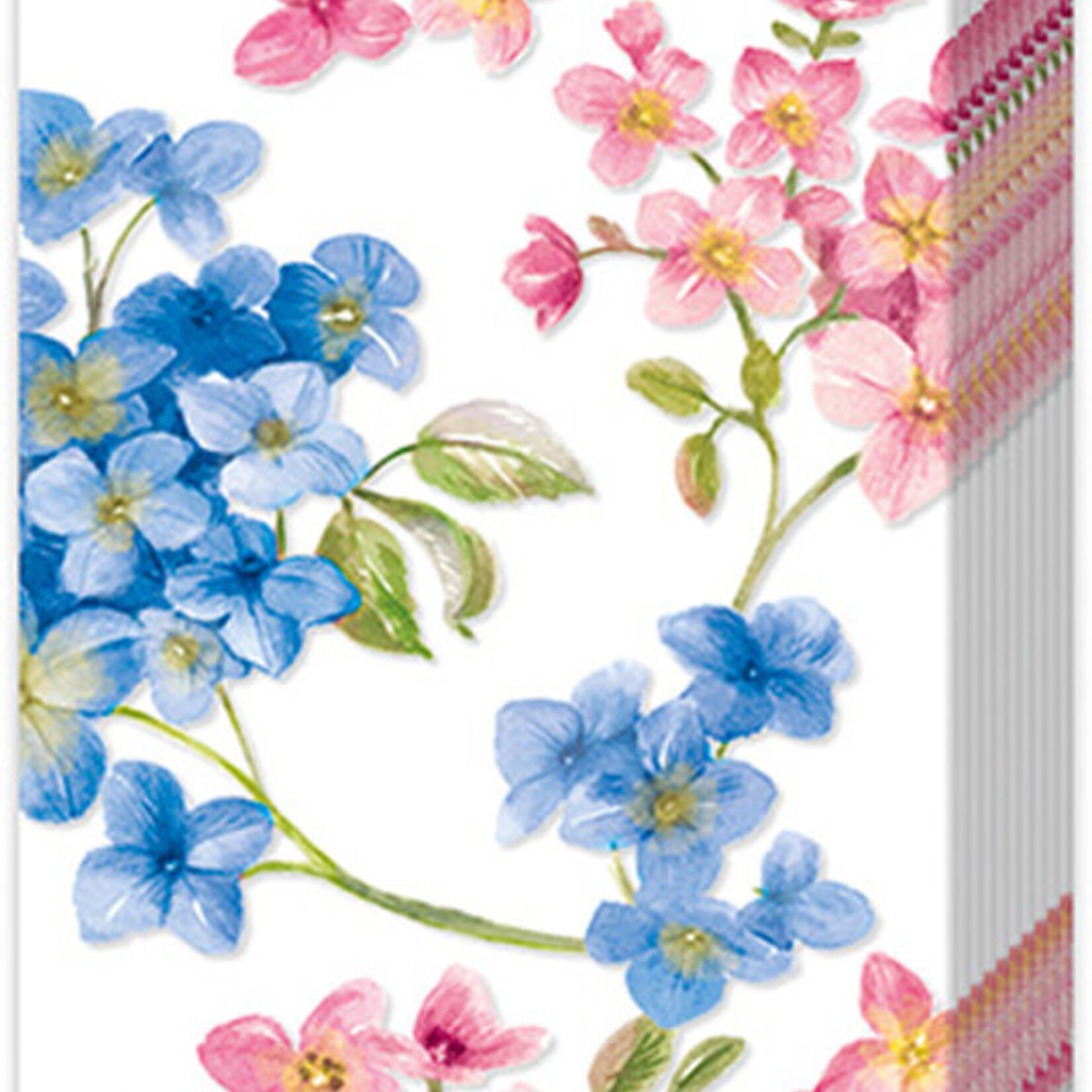 Boston International Pocket Tissue, Maite